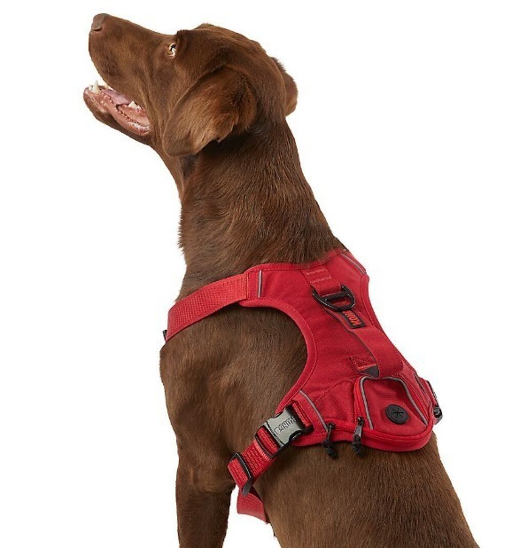 KONG XL Dog Harness Red Reflective Piping Padded Waste Bag Holder